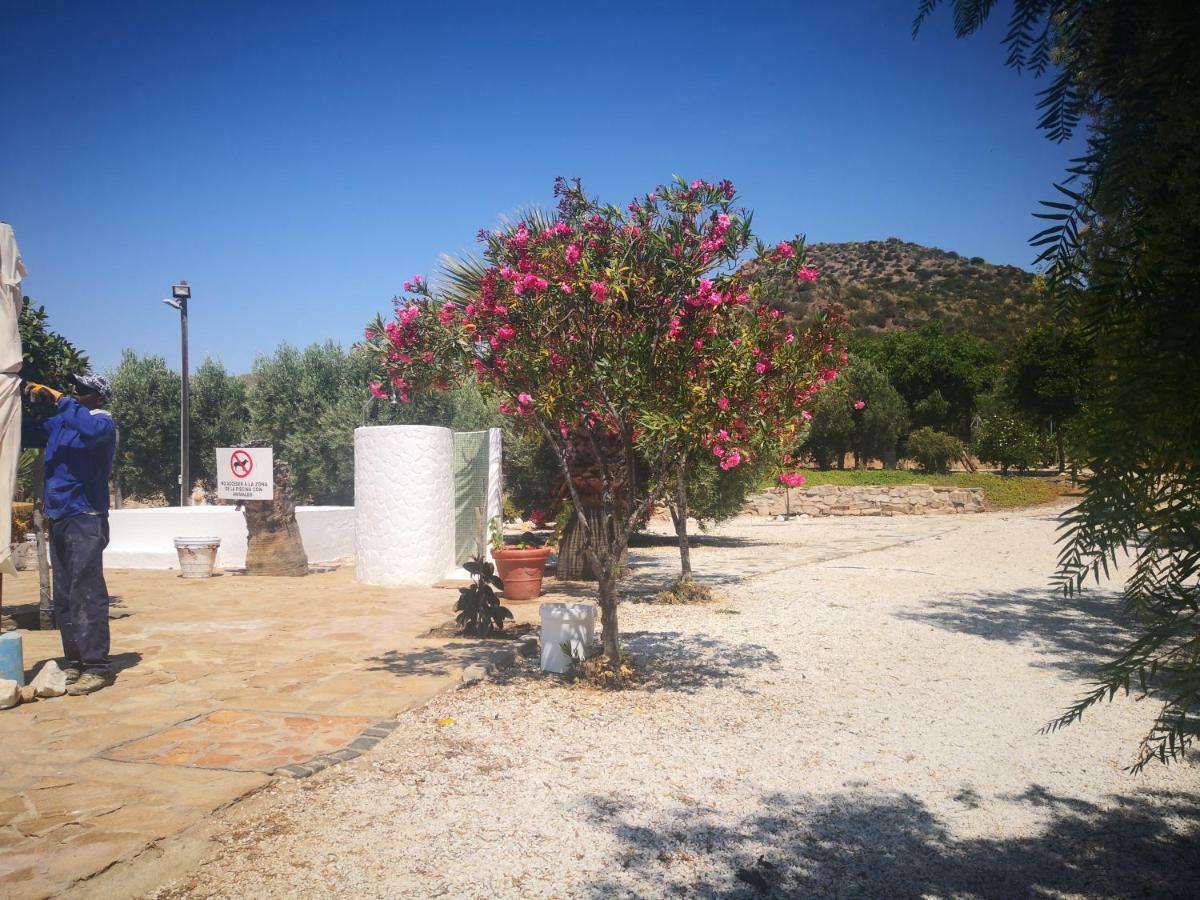 Casas Rurales Cortijo Torreblanca Parque Cabo De Gata El Pozo de los Frailes Luaran gambar